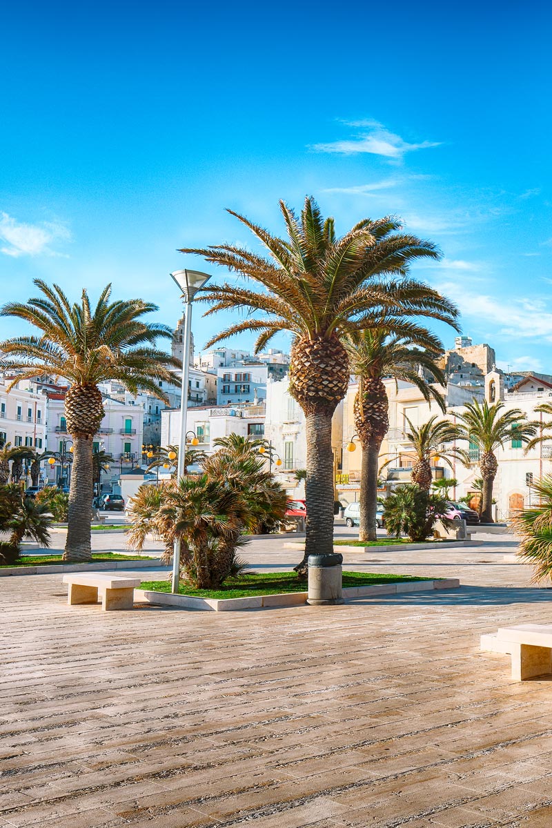 Tangier cityscape